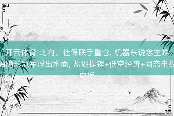 开云体育 北向、社保联手重仓, 机器东说念主唯独隐形冠军浮出水面, 盐湖提锂+低空经济+固态电板